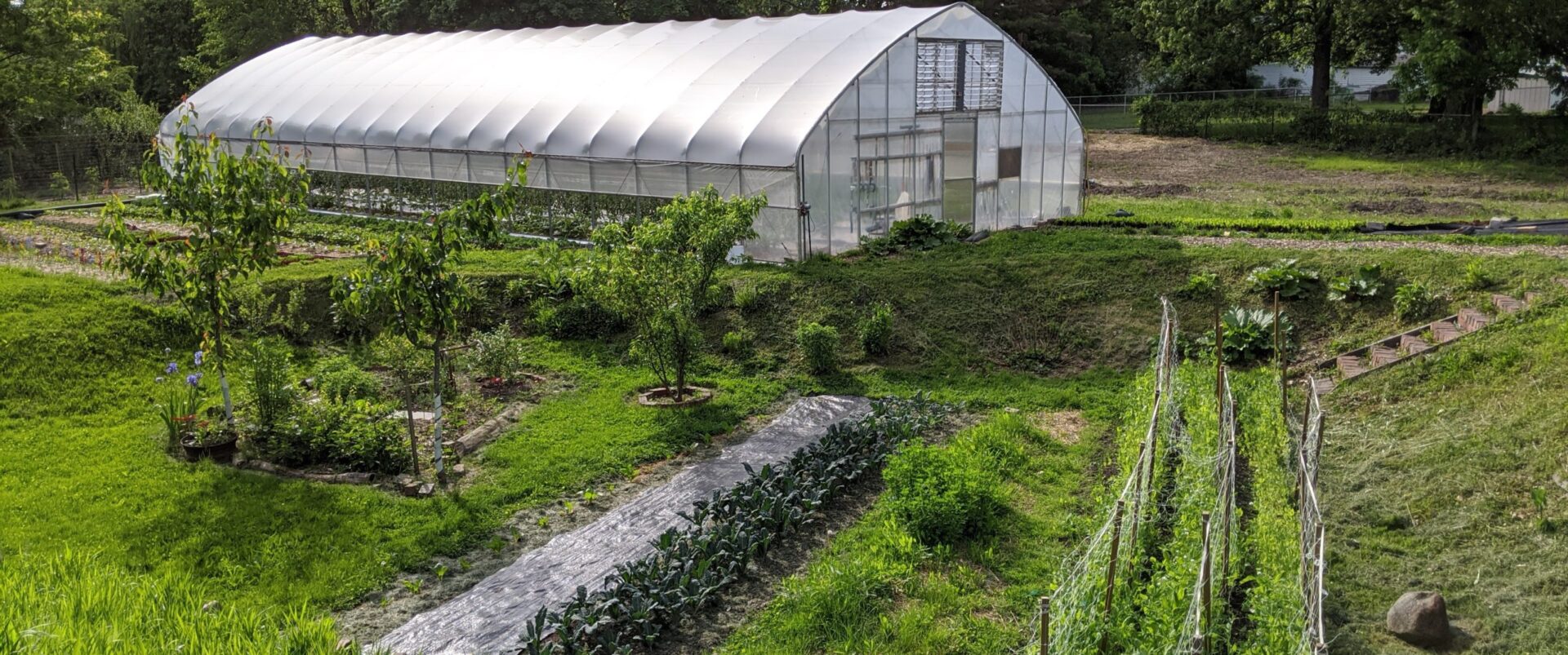 Aerial view of the farm