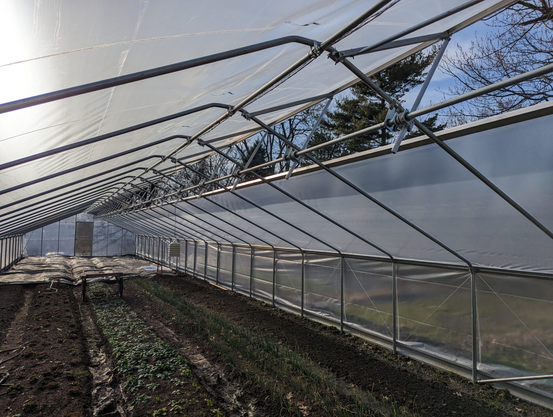 High tunnel with ridge vent open