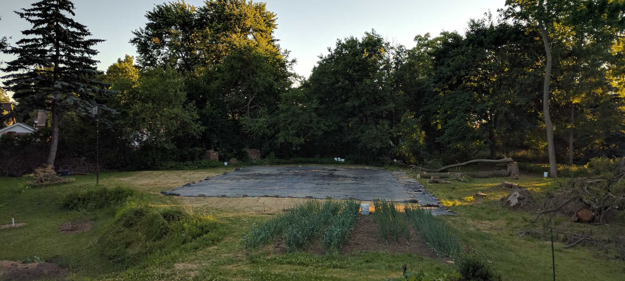 The backyard in Cleveland pre-tunnels