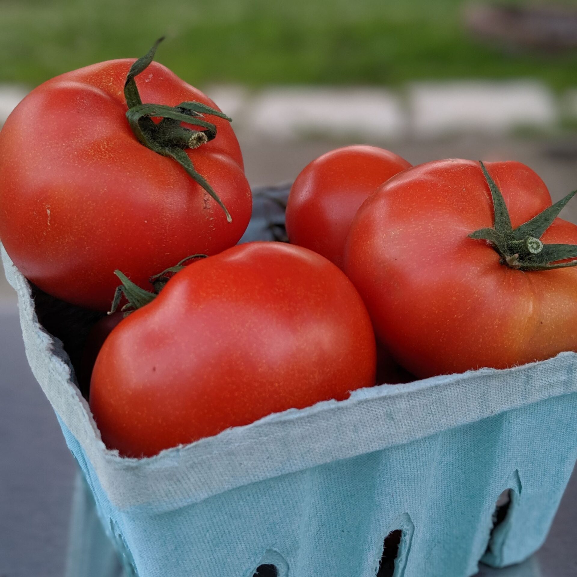 https://baybranchfarm.com/wp-content/uploads/2019/07/slicer-tomatoes.jpg